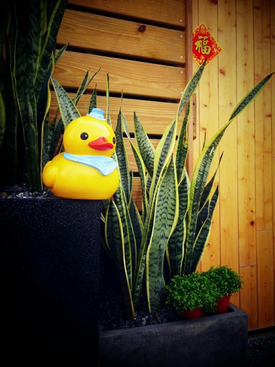 Yy Elleys Home Jiaoxi Bagian luar foto
